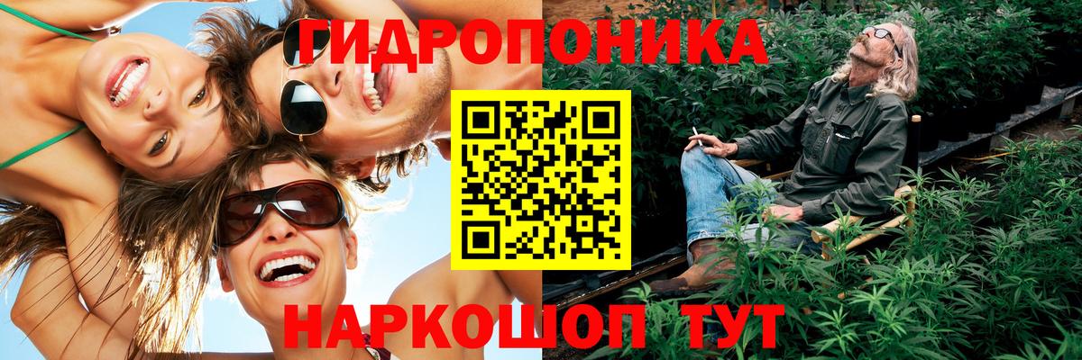 Конопля конопля Печора